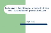 Internet backbone competition and broadband penetration Mgt 825.