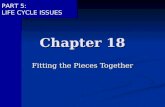 PART 5: LIFE CYCLE ISSUES Chapter 18 Fitting the Pieces Together.