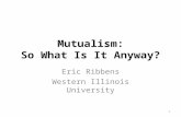 Mutualism: So What Is It Anyway? Eric Ribbens Western Illinois University 1.