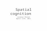 Spatial cognition Lavanya Sharan April 11th, 2011.