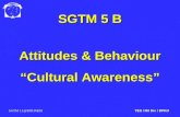 SGTM 1.1@30JUNE03TES / Mil Div / DPKO SGTM 5 B Attitudes & Behaviour “Cultural Awareness”
