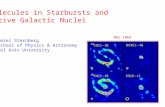Molecules in Starbursts and Active Galactic Nuclei Amiel Sternberg School of Physics & Astronomy Tel Aviv University NGC 1068.