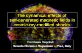Krakow 2008 Damiano Caprioli Scuola Normale Superiore – Pisa, Italy The dynamical effects of self-generated magnetic fields in cosmic-ray-modified shocks.