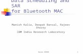 Hasan SÖZER1 Data Scheduling and SAR for Bluetooth MAC Manish Kalia, Deepak Bansal, Rajeev Shorey IBM India Research Laboratory.