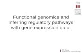 Functional genomics and inferring regulatory pathways with gene expression data.