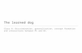 The learned dog Class 9: Discrimination, generalization, concept formation and interactions between PC and OC.