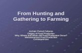 From Hunting and Gathering to Farming From Hunting and Gathering to Farming Archaic Period Cultures Origins of Food Production Why, Where and When did.