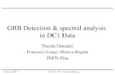 February 2004GLAST - DC1 Closeout Meeting GRB Detection & spectral analysis in DC1 Data Nicola Omodei Francesco Longo, Monica Brigida INFN Pisa.