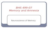 BHS 499-07 Memory and Amnesia Neuroscience of Memory.