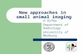 New approaches in small animal imaging H Alfke Department of Radiology University of Marburg.