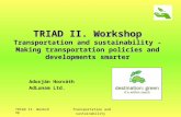 TRIAD II. WorkshopTransportation and sustainability TRIAD II. Workshop Transportation and sustainability - Making transportation policies and developments.