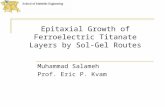 Epitaxial Growth of Ferroelectric Titanate Layers by Sol-Gel Routes Muhammad Salameh Prof. Eric P. Kvam.