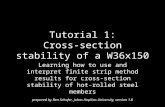 Tutorial 1: Cross-section stability of a W36x150 Learning how to use and interpret finite strip method results for cross-section stability of hot-rolled.