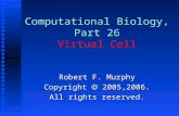 Computational Biology, Part 26 Virtual Cell Robert F. Murphy Copyright  2005,2006. All rights reserved.