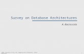 1 ©2007, University of Pisa, Dip. Ingegneria dell’Informazione – Andrea Bacioccola Survey on Database Architectures A. Bacioccola.