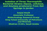 Isolation of Three Thermophilic Bacterial Strains (lipase, cellulose, and Amylase producers) From Hot Springs in Jordan Amjad Khalil Associate Professor.