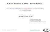 A Few Issues in MHD Turbulence Alex Alexakis*, Bill Matthaeus %, Pablo Mininni^, Duane Rosenberg and Annick Pouquet NCAR / CISL / TNT * Observatoire de.