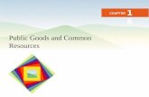 Public Goods and Common Resources CHAPTER 16. After studying this chapter you will be able to Distinguish among private goods, public goods, and common.