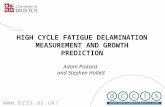 HIGH CYCLE FATIGUE DELAMINATION MEASUREMENT AND GROWTH PREDICTION Adam Pickard and Stephen Hallett .