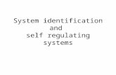 System identification and self regulating systems.