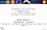 Global Convection Modeling (where are we heading and how does this impact HMI?) Mark Miesch HAO/NCAR, JILA/CU (Sacha Brun, Juri Toomre, Matt Browning,
