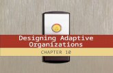 Designing Adaptive Organizations CHAPTER 10. Copyright © 2008 by South-Western, a division of Thomson Learning. All rights reserved. 2 Learning Objectives.