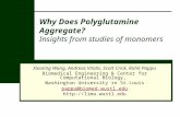 Why Does Polyglutamine Aggregate? Insights from studies of monomers Xiaoling Wang, Andreas Vitalis, Scott Crick, Rohit Pappu Biomedical Engineering & Center.