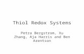 Thiol Redox Systems Petra Bergstrom, Xu Zhang, Aja Harris and Ben Arentson.