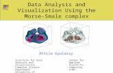 Data Analysis and Visualization Using the Morse-Smale complex Attila Gyulassy Institute for Data Analysis and Visualization Computer Science Department.