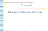 Copyright 2007 John Wiley & Sons, Inc. Chapter 91 Managerial Support Systems.