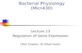 Bacterial Physiology (Micr430) Lecture 13 Regulation of Gene Expression (Text Chapter: 6) (Moat book)