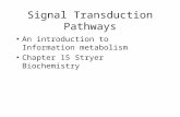 Signal Transduction Pathways An introduction to Information metabolism Chapter 15 Stryer Biochemistry.