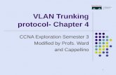 1 VLAN Trunking protocol- Chapter 4 CCNA Exploration Semester 3 Modified by Profs. Ward and Cappellino.