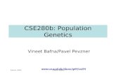 March 2006Vineet Bafna CSE280b: Population Genetics Vineet Bafna/Pavel Pevzner .