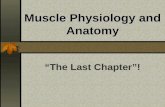 Muscle Physiology and Anatomy “The Last Chapter”!.