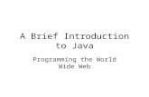 A Brief Introduction to Java Programming the World Wide Web.