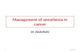 Management of anesthesia In cancer Dr Abdollahi 6/21/20151.
