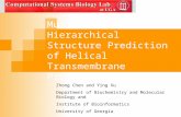 Multi-Scale Hierarchical Structure Prediction of Helical Transmembrane Proteins Zhong Chen and Ying Xu Department of Biochemistry and Molecular Biology.
