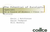 The Potential of Eucalyptus Species As a Source of Biomass / Fibre In Ireland Kevin J Hutchinson David Thompson Bill Berkery.