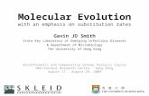 Molecular Evolution with an emphasis on substitution rates Gavin JD Smith State Key Laboratory of Emerging Infectious Diseases & Department of Microbiology.