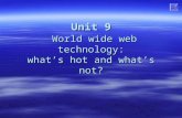 Unit 9 World wide web technology: what’s hot and what’s not?
