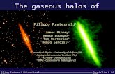 Terschelling 6 Jul 2005 Filippo Fraternali (University of Oxford) The gaseous halos of spiral galaxies Filippo Fraternali 1 James Binney 1 Rense Boomsma.