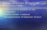 Native Hawaiian Streams & Bioassessment Importance of streams to the Hawaiians Importance of streams to the Hawaiians Native stream creatures Native stream.