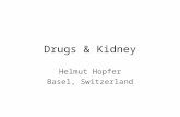 Drugs & Kidney Helmut Hopfer Basel, Switzerland. Patterns of Drug-induced Lesions Tubulointerstitium Acute tubular injury - Osmotic nephrosis - Nephrocalcinosis.