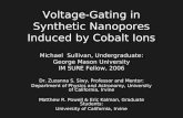 Voltage-Gating in Synthetic Nanopores Induced by Cobalt Ions Michael Sullivan, Undergraduate: George Mason University IM SURE Fellow, 2006 Dr. Zuzanna.