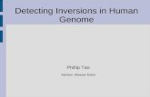 Detecting Inversions in Human Genome Phillip Tao Advisor: Eleazar Eskin.