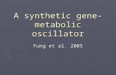 A synthetic gene- metabolic oscillator Fung et al. 2005.