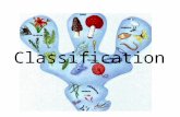 Classification. Are they related? Taxonomy- the field of science that classifies life into groups Systematics- studies diversity of life It is the study.