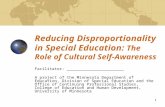 1 Reducing Disproportionality in Special Education: The Role of Cultural Self-Awareness Facilitator: _______________________ A project of the Minnesota.