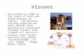 Viruses Discovered in 1898 as the cause of hoof-and- mouth disease in cattle. The disease-causing organism was much smaller than bacteria—it could pass.